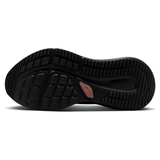 Nike Winflo 12 W